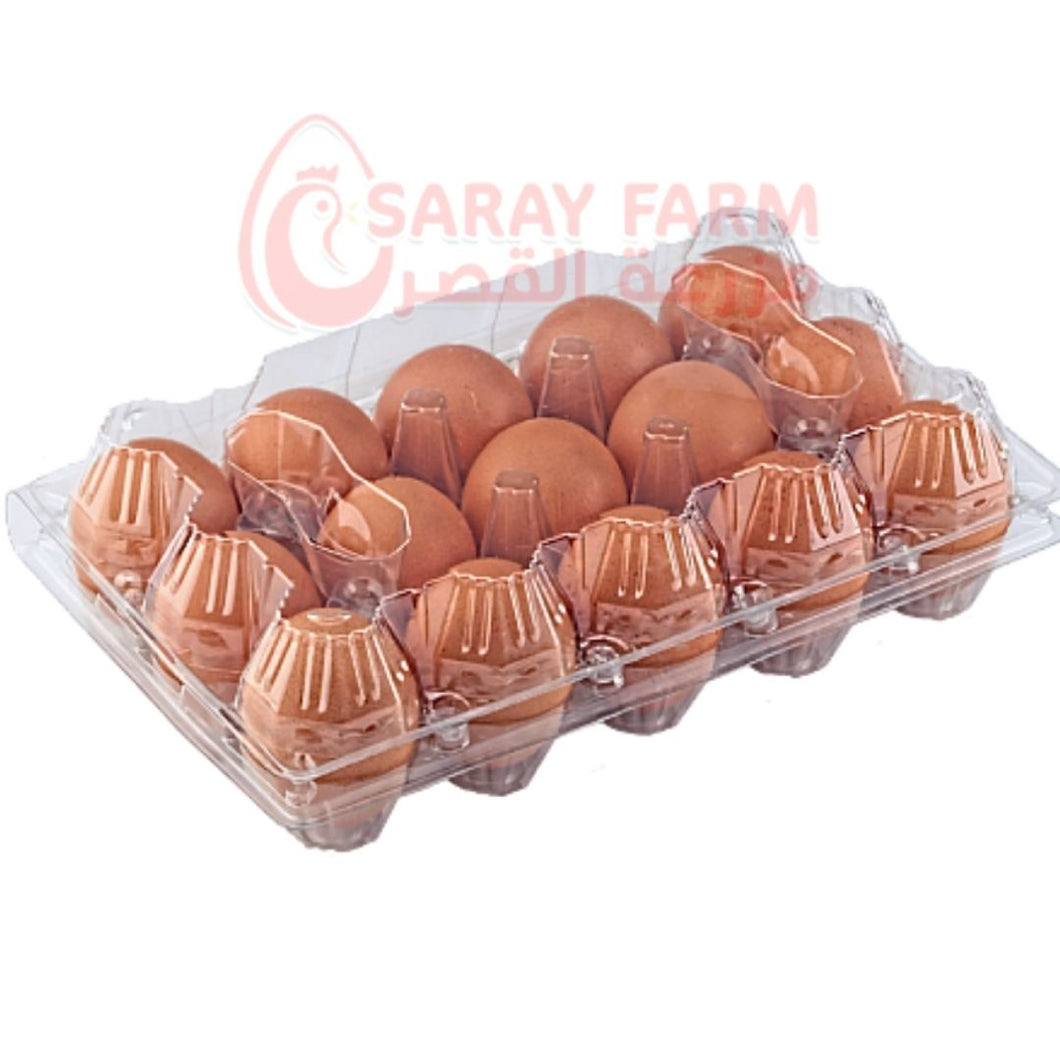 15 PET PLASTIC - 240 PCS/Box