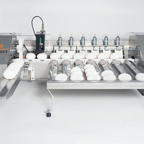 EkoPrint D30 Egg grading and coding machine