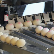 Load image into Gallery viewer, EkoPrint D30 Egg grading and coding machine
