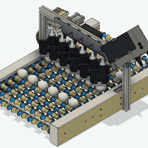 G12 Egg Coding Machine on Grader - 12 Printheads - HP45 Thermal Inkjet Technology