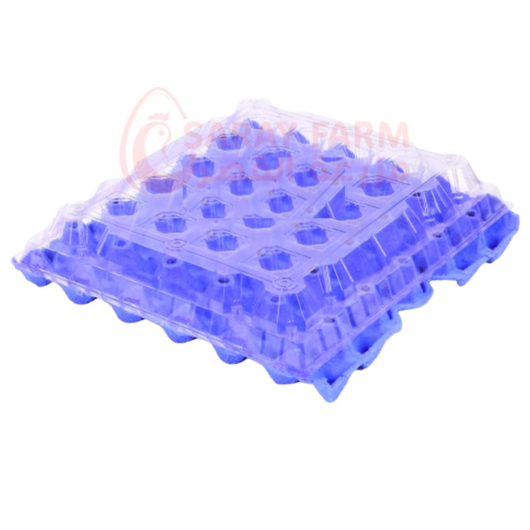 30 TOP LID PET PACK - 400 Pcs/BOX