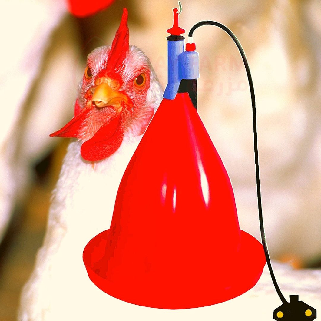 Automatic Jumbo Drinker B for Poultry