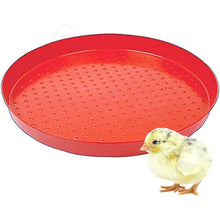 Load image into Gallery viewer, Day Old Chicks Feeding Plate
