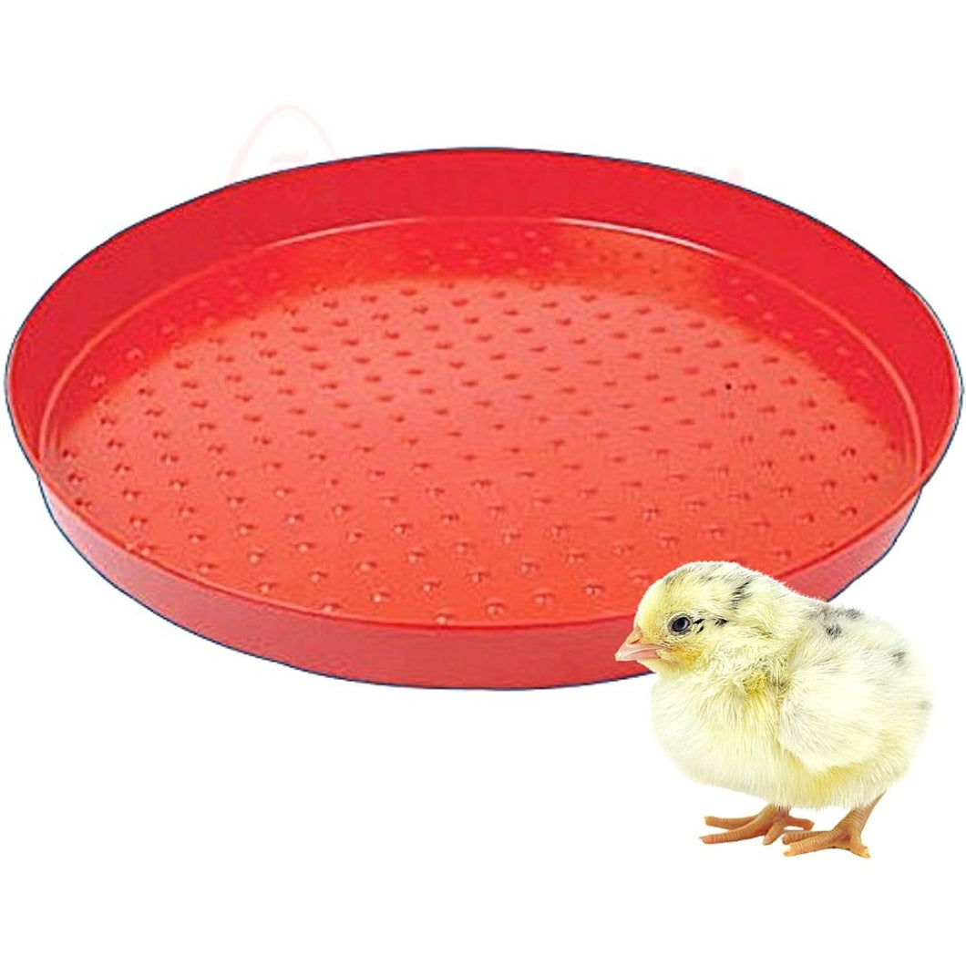 Day Old Chicks Feeding Plate